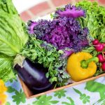 Benarkah Makanan Organik Lebih Sehat dari Makanan Biasa